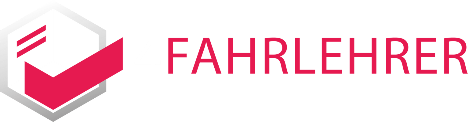 4 Fahrlehrer