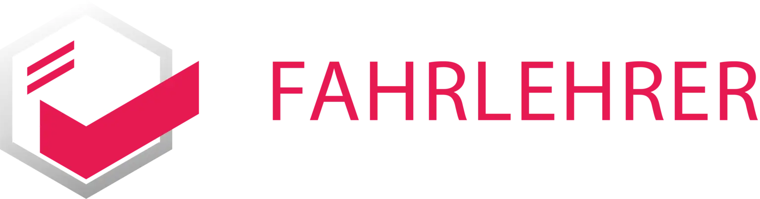 4 Fahrlehrer