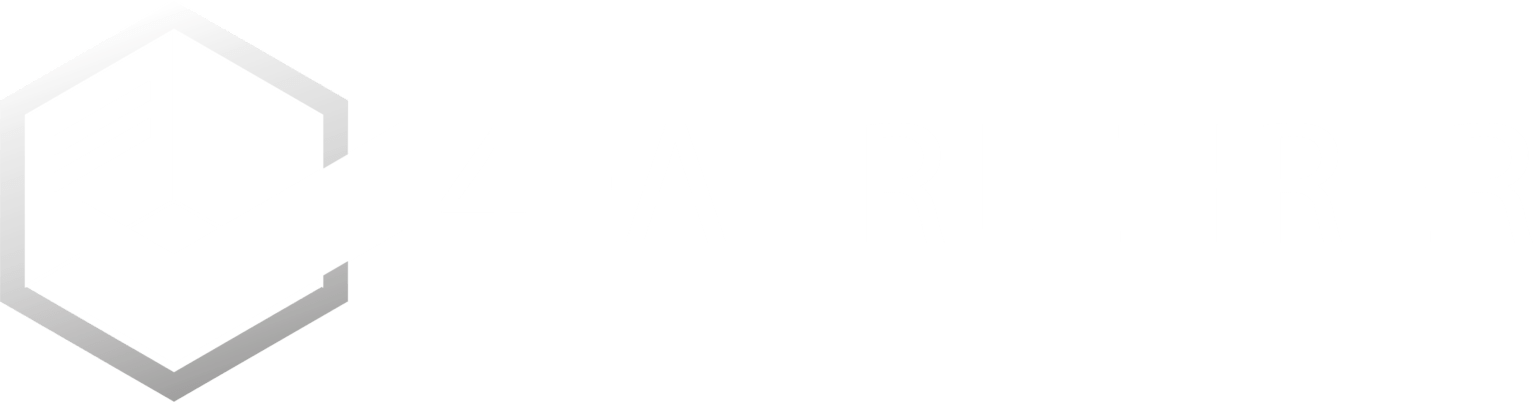 4 Fahrlehrer